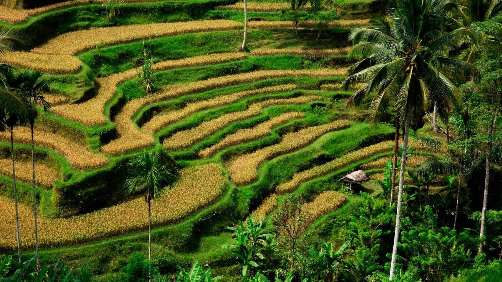 Bali’s Investment Landscape in 2026 and How Foreign Capital Aligns With Local Economic Priorities